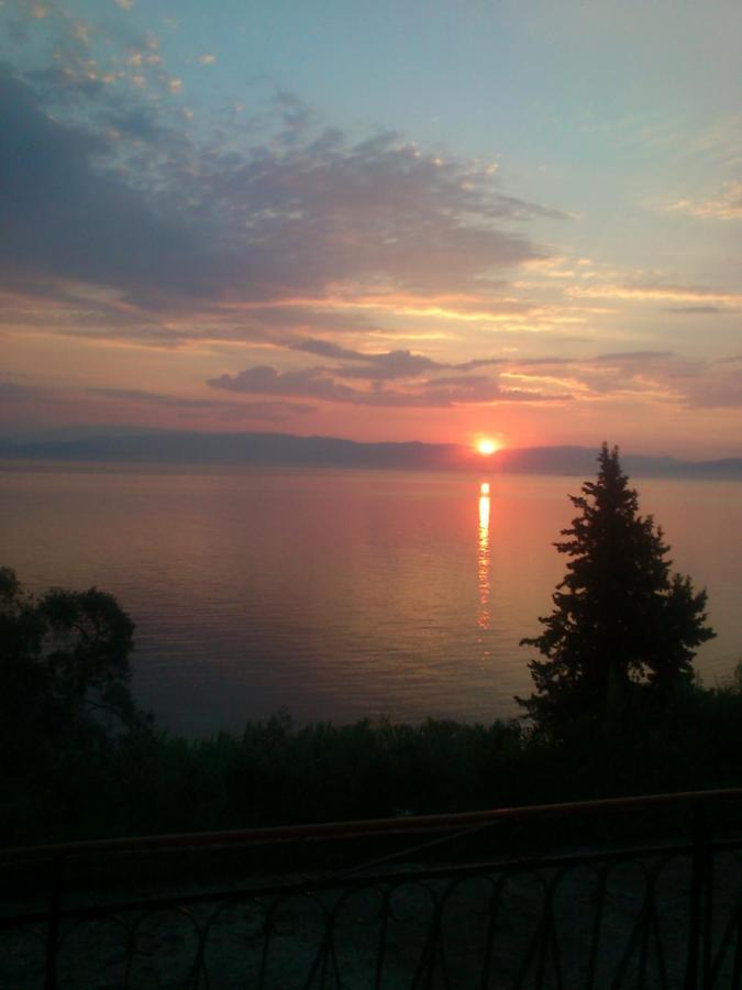 Corfu Bay Sea View Apartments 100M From The Beach Беницес Екстериор снимка